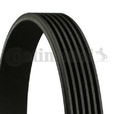 Cinghia trapezoidale originale