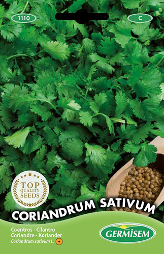 Coriandrum sativum semi - semi, di