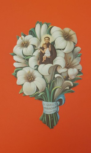 Santino antico giglio - santino, il