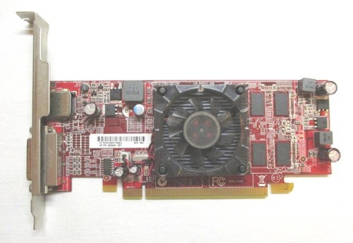 Scheda grafica msi per - grafica,