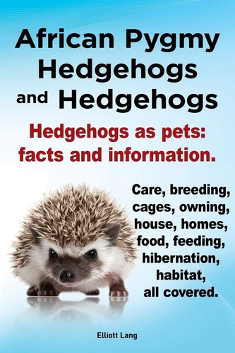 African pygmy hedgehogs and - african,