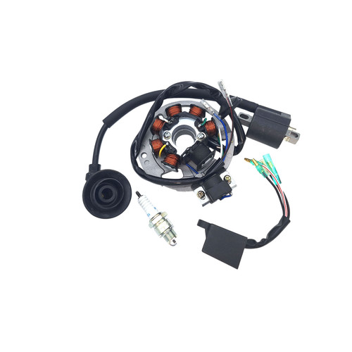 Fit dolphin 100cc - to,