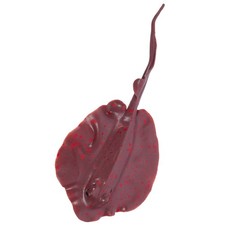  Arredo Acquario Pesci Finti