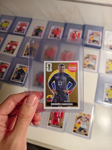 Panini fifa world cup - fifa,