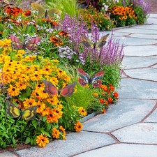  50 Pcs Farfalle Decorative