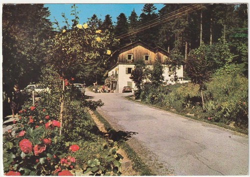 Foresta campigna forli - foresta,