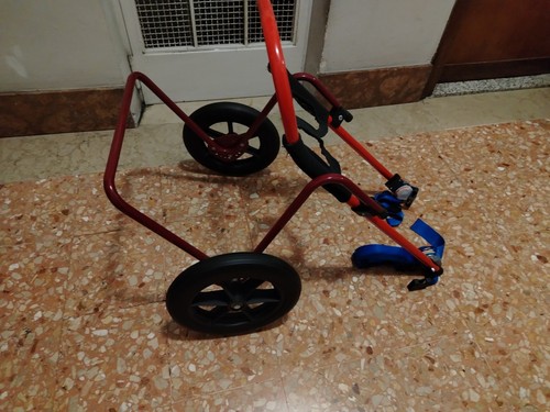Carrellino per cani con - carrellino,