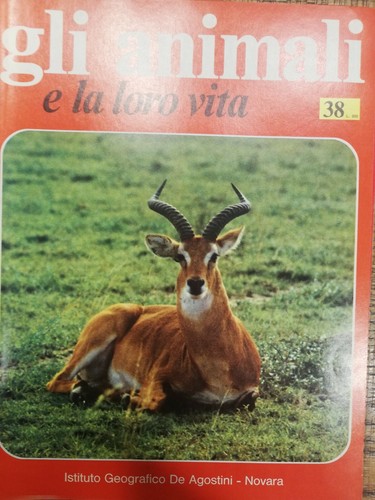 Gli animali loro vita - animali, la