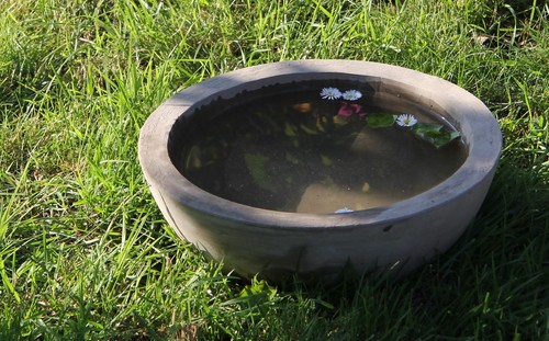 Bagno per uccelli abbeveratoio