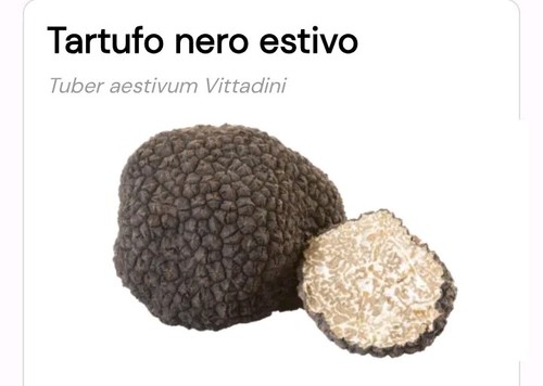 200 tartufo nero - tartufo,