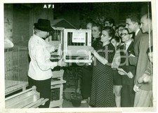 1935 ca ROMA Massaie rurali mostrano gabbietta per ovaiole *Foto DANNEGGIATA