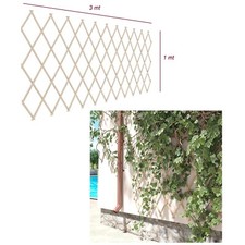 traliccio in legno naturale