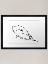 Horseshoe Crab filled Framed