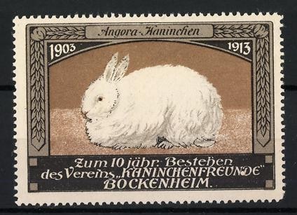 Marca pubblicitaria angora - pubblicitaria,
