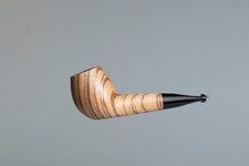 Tuscan thalamona pipe zebra - tuscan,