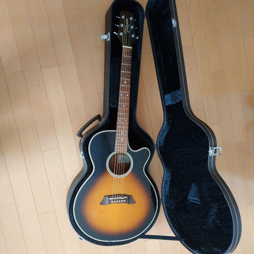 Chitarra acustica takamine - chitarra,