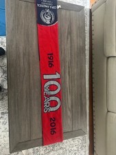 Sciarpe ufficiali Copa America