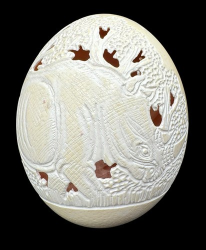 Hand carved ostrich egg shell - ostrich,