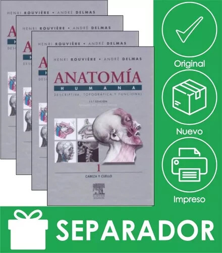 Pack anatomía humana - pack,