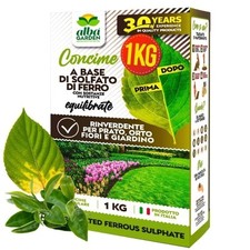Solfato Di Ferro Granulare Concime Fertilizzante Azione Rinverdente Fogliare 1Kg