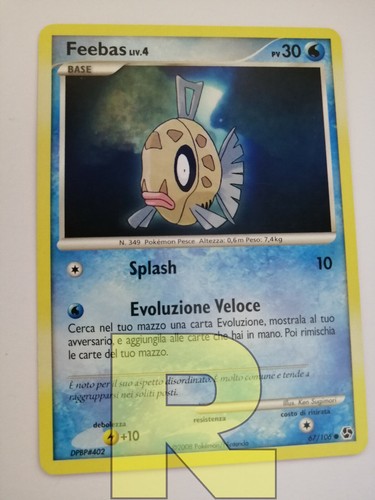 Feebas incontri - feebas, ®