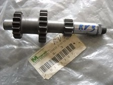 0103307 ALBERINO PRIMARIO