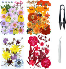 4 Pacco Fiori Secchi per