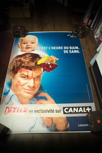 Dexter rifugio francese - dexter,