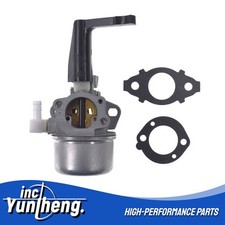 696065 Ricambio Carburatore