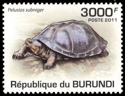 Burundi 899 tartaruga di - burundi,