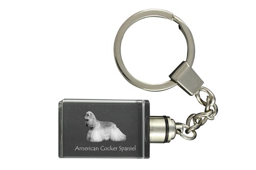 Cocker spaniel americano - spaniel,