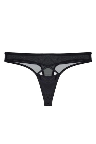 Playful promets charlie - playful,