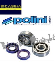 1799 - KIT PARAOLI E