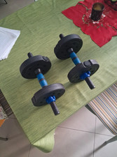 coppia manubri con dischi da