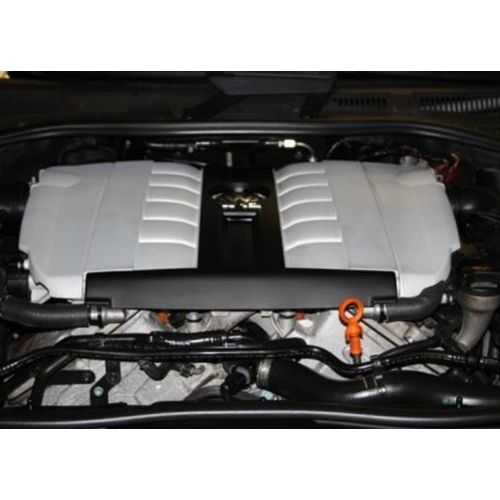 Motore touareg w12 v12 - touareg,