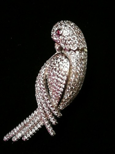 Spilla pappagallo argento - spilla,