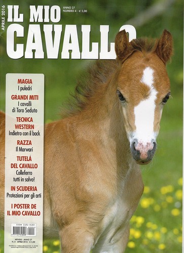 Mio cavallo 2016 - il,