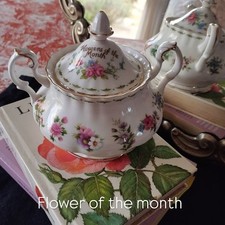 zuccheriera 'Flower of the month ' Royal Albert