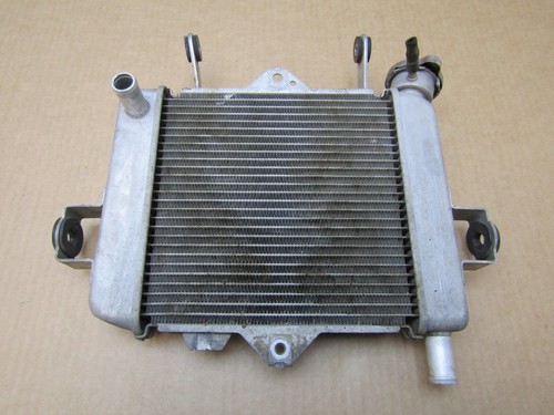 Radiatore suzuki gsx s125 - suzuki, al8