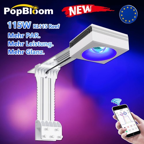 Popbloom rl115 wifi acqua - popbloom,