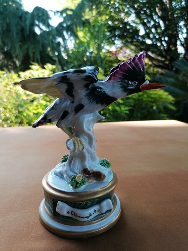 Uccello porcellana sevres - uccello,