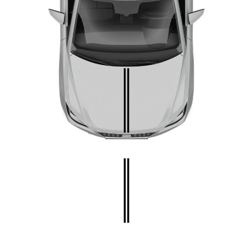 Adesivi cofano doppie seat - cofano,