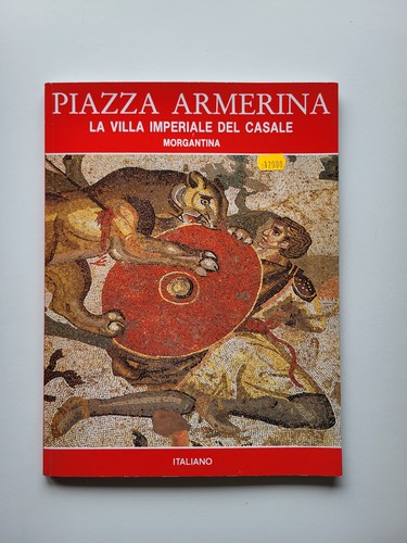 Piazza armerina villa - piazza,