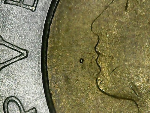 500 lire 1983 variante - 500,