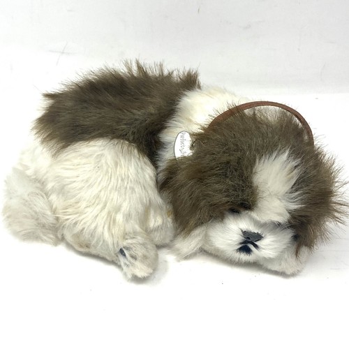 Peluche petzzz san - petzzz,