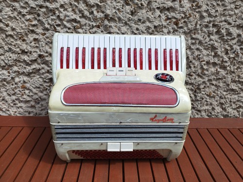 Fisarmonica hagsrtröm 120 - fisarmonica,