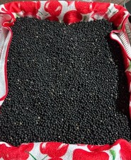 Semi Di Asparagi Selvatici 50