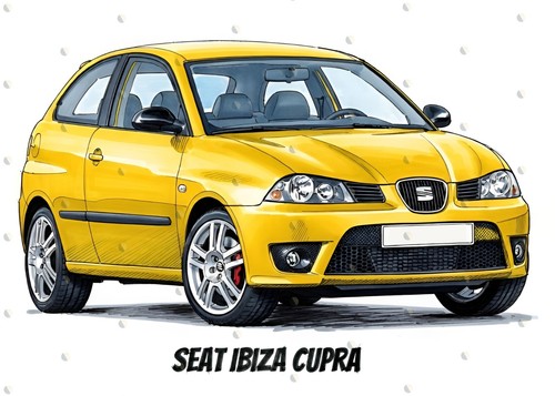 Seat ibiza cupra - ibiza, 6l
