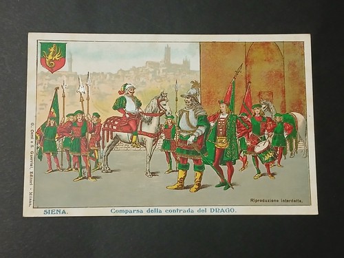 Palio siena drago - siena,
