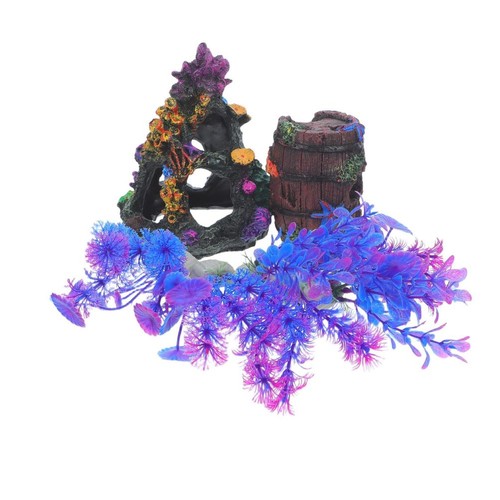 Pezzi piante decorative - piante,